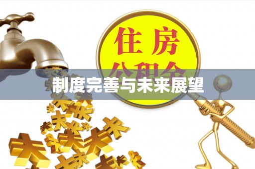 广丰制度完善与未来展望