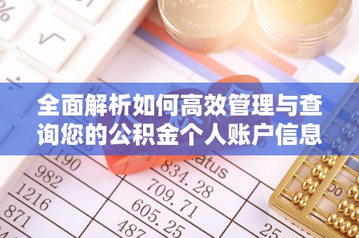 广丰全面解析如何高效管理与查询您的公积金个人账户信息