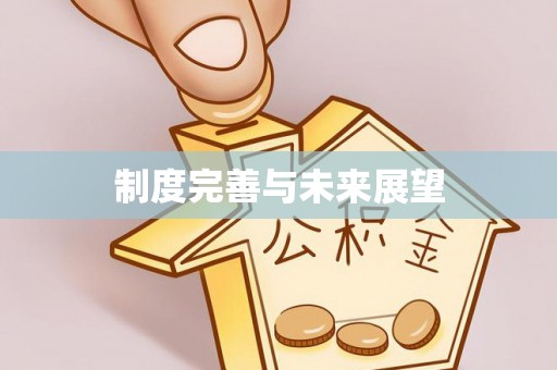 广丰制度完善与未来展望