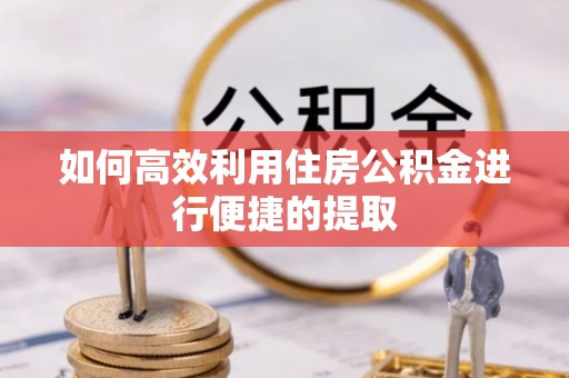 广丰如何高效利用住房公积金进行便捷的提取