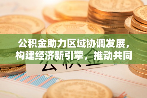 广丰公积金助力区域协调发展，构建经济新引擎，推动共同富裕