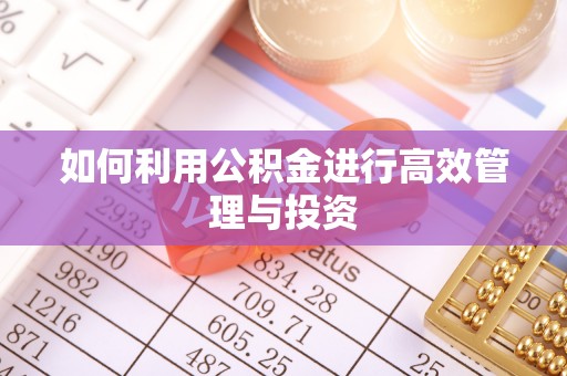 广丰如何利用公积金进行高效管理与投资