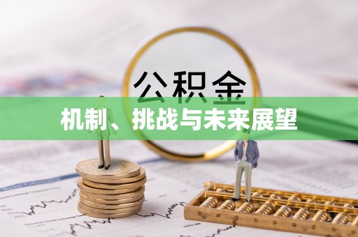 广丰机制、挑战与未来展望
