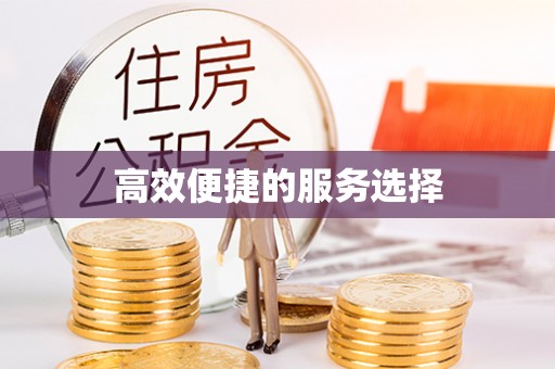 广丰高效便捷的服务选择